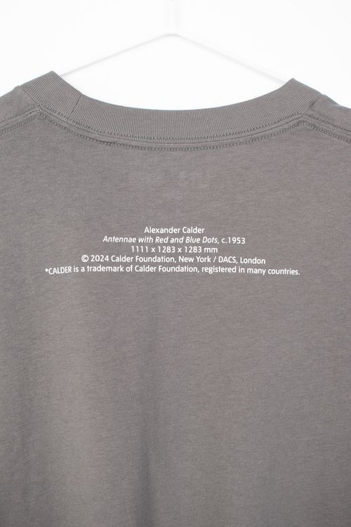 Remera Uniqlo T: Small