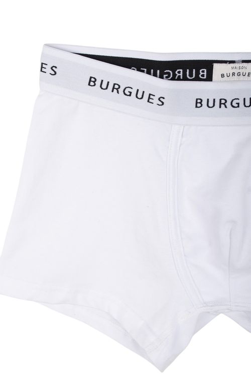 Boxer BURGUES