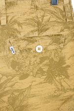 ARV-250127-9281-2