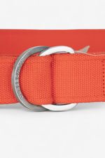 ALP-250529-2993-2