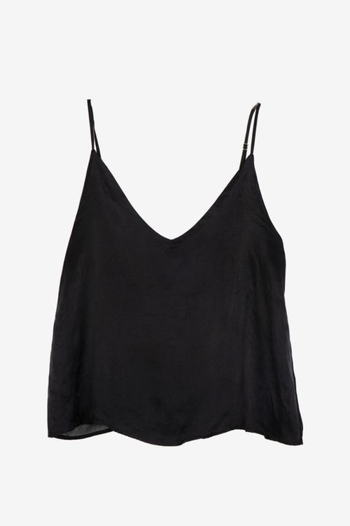 Musculosa Delaostia