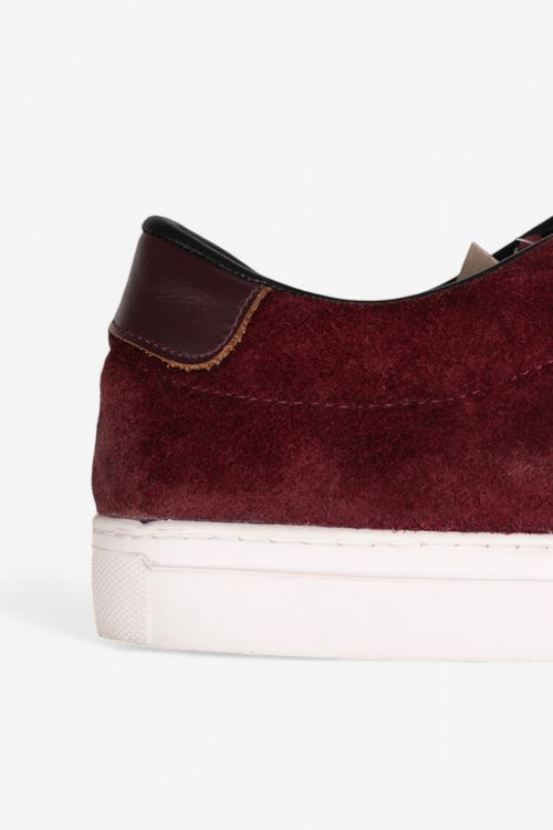 Zapatillas Penguin